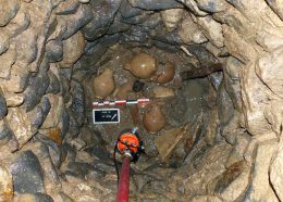 Fig. 4 Un des niveaux de comblement du puits de l’Auribelle-Basse à Pézenas ©S. Mauné 