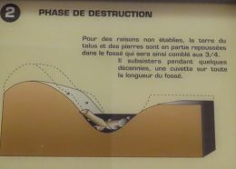 Phase de destruction © C. Gomez-Pardies