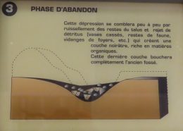 Phase d'abandon © C. Gomez-Pardies