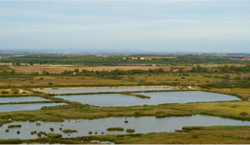 Les dynamiques de peuplement du territoire Hérault Méditerranée : chapitre 2 la sédentarisation