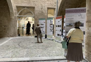 Agde – Visite commentée de l’exposition du Bois de Riquet