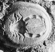 intaille en onyx sur monture en fer, décor : un crabe avec la lettre T entre les pinces - Ier siècle après J.-C.©Elian Gomez