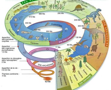 Les métiers de l’archéologie