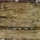 Comprendre l’archéologie programmée