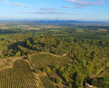 Les dynamiques de peuplement du territoire Hérault Méditerranée : chapitre 3 l’implantation