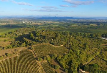 Les dynamiques de peuplement du territoire Hérault Méditerranée : chapitre 3 l’implantation