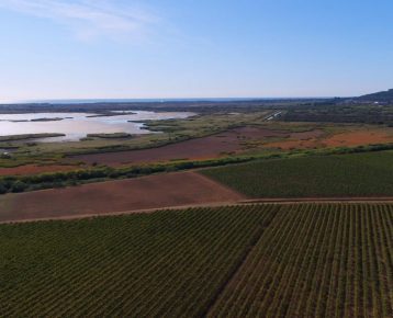 Les dynamiques de peuplement du territoire Hérault Méditerranée – Chapitre 4 – La Structuration
