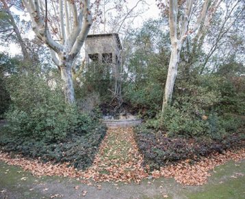 Brèves découvertes !