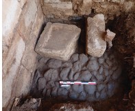 Brèves découvertes !