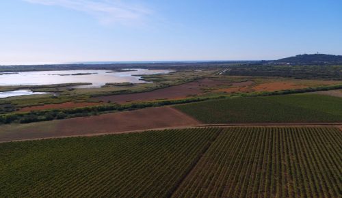 Agde – Escarpes II – Un établissement rural de l’Antiquité tardive
