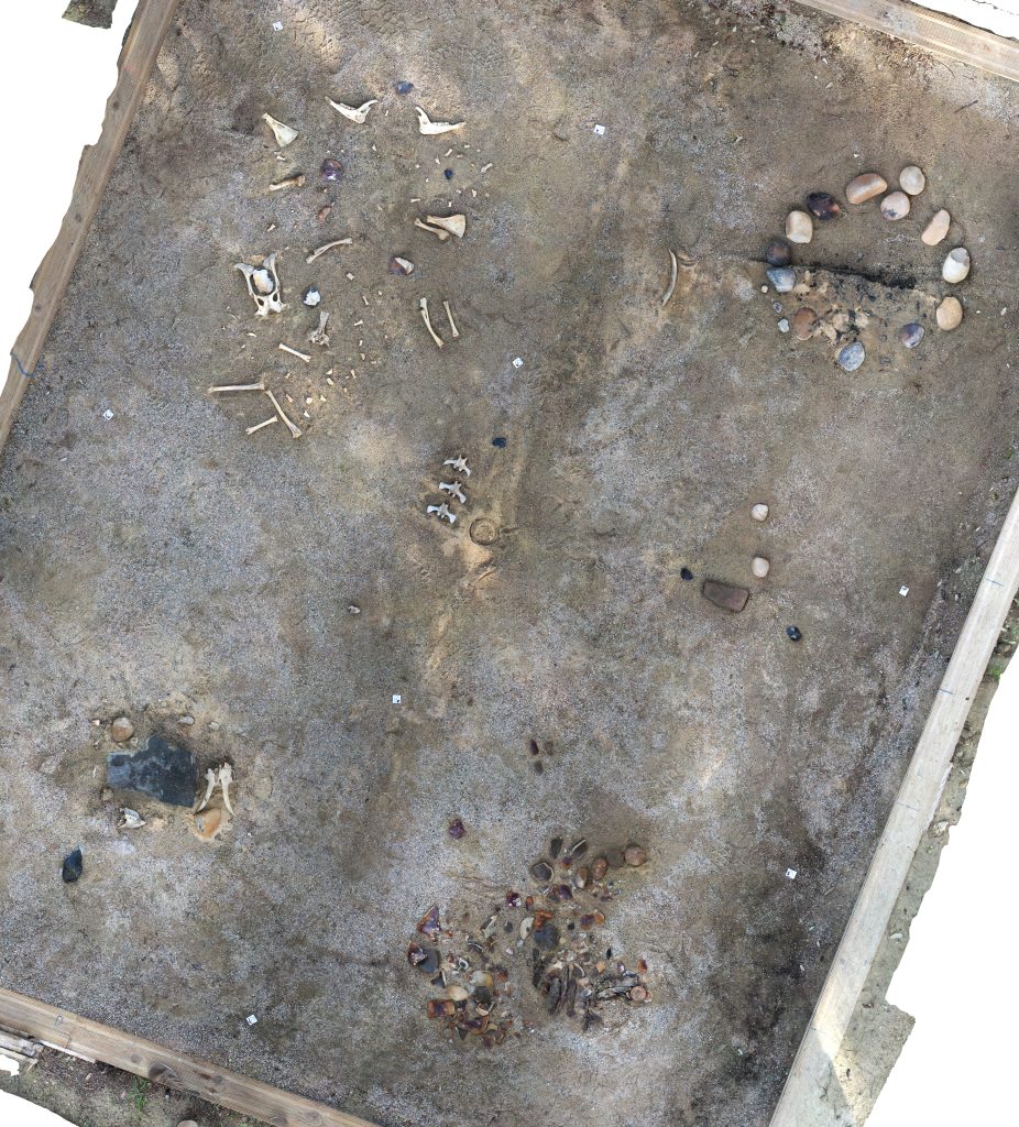 Orthophotographie de la zone de fouille ©Inrap